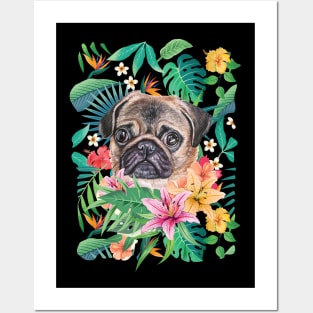 Tropical Pug 8 Posters and Art